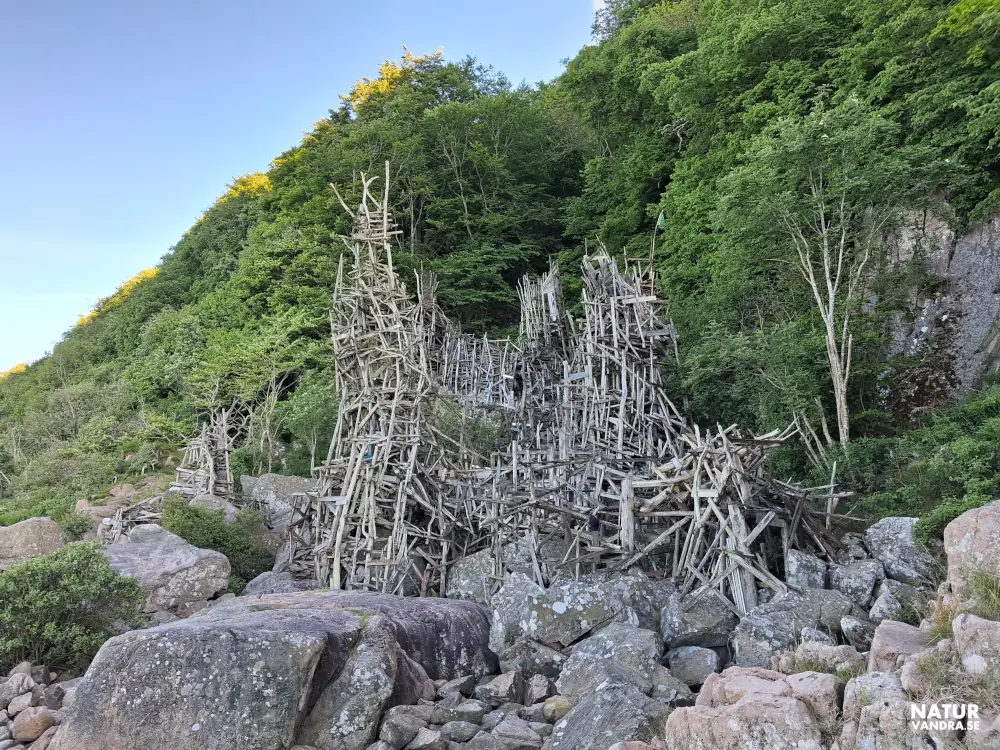 Träskulpturen Nimis Kullaberg Bild på träskulpturen Nimis på Kullaberg
